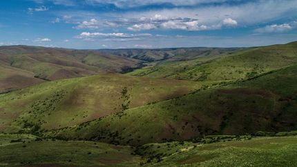 Property in Umatilla County, Oregon