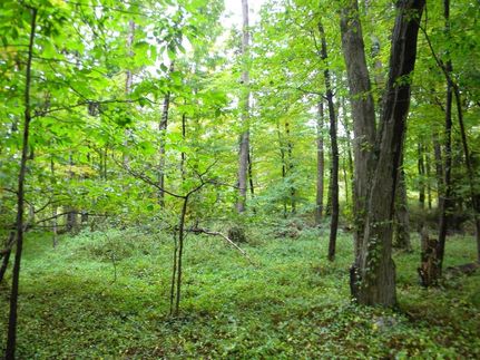 Property in Ulster County, New York