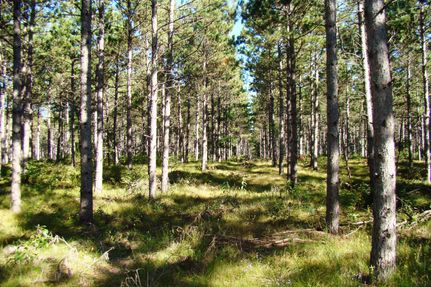 Property in Adams County, Wisconsin