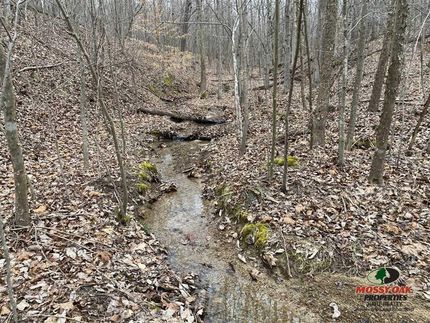 Property in Grayson County, Kentucky