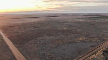 Property in Lamb County, Texas