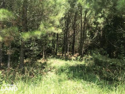 Property in Morehouse Parish, Louisiana