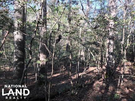 Property in Moore County, North Carolina