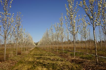 Property in Washington County, Oregon
