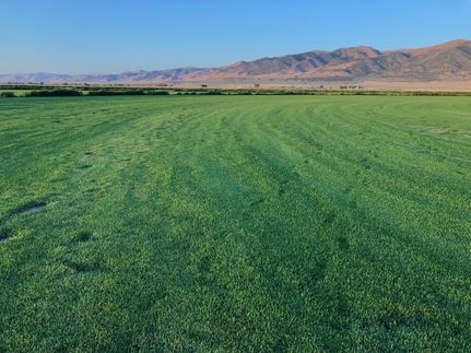 Property in Oneida County, Idaho