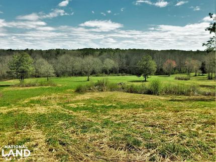 Property in Marion County, Alabama