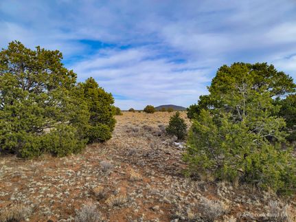 Property in Cibola County, New Mexico