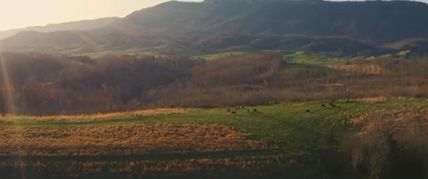 Property in Lee County, Virginia