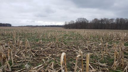 Property in Greene County, Indiana