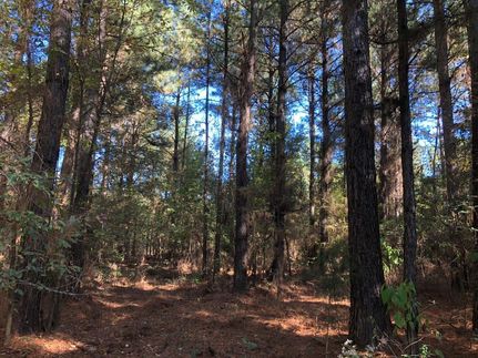 Property in Nevada County, Arkansas