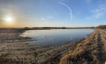 Property in Alexander County, Illinois