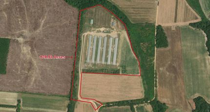 Property in Marlboro County, South Carolina