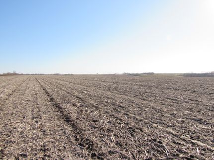 Property in Wayne County, Iowa