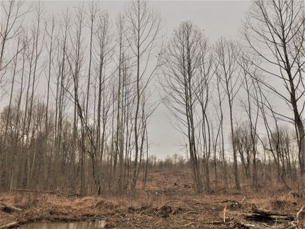 Property in Livingston County, Kentucky