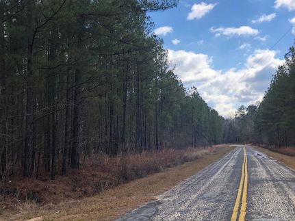 Property in Marion County, South Carolina