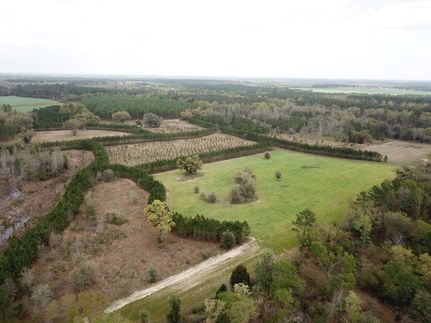 Property in Houston County, Alabama