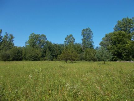Property in Tuscola County, Michigan