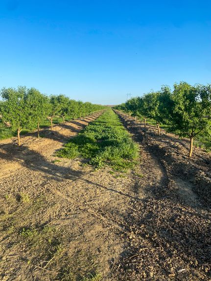 Property in Sutter County, California