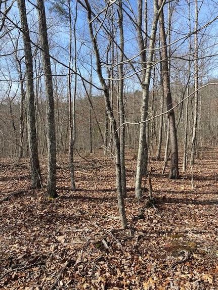 Property in Bledsoe County, Tennessee