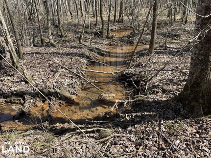 Property in Winston County, Alabama