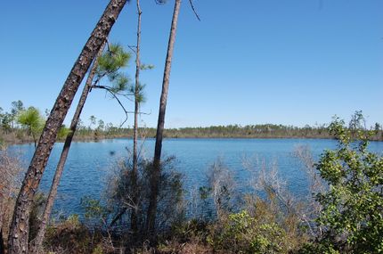 Property in Bay County, Florida