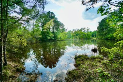 Property in Webster Parish, Louisiana