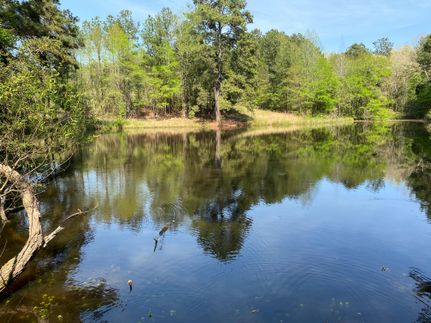 Property in Richland County, South Carolina
