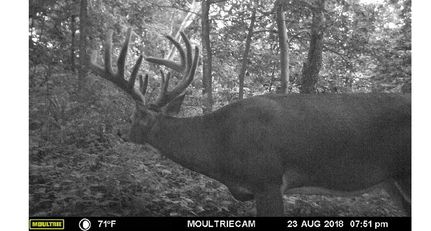 Property in La Crosse County, Wisconsin