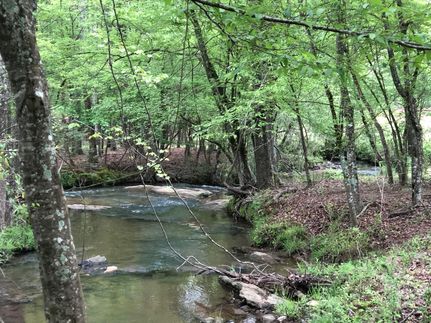 Property in Tallapoosa County, Alabama