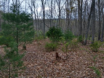 Property in Hardy County, West Virginia