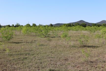 Property for sale in Uvalde County, Texas