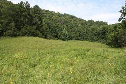 Property in Scott County, Virginia
