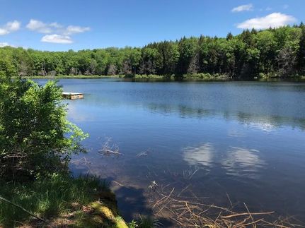 Property in Wayne County, Pennsylvania