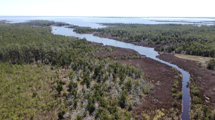 Property in Pamlico County, North Carolina