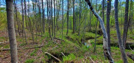 Property in Amelia County, Virginia