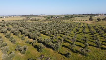 Property in Butte County, California