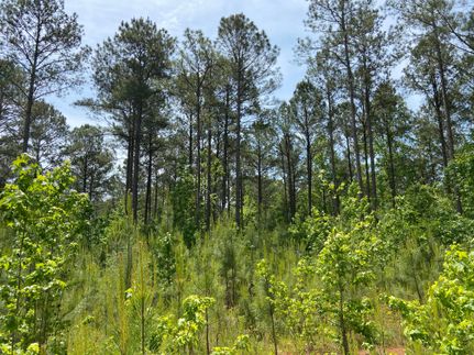Property in Heard County, Georgia