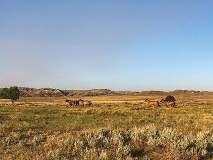 Property in Weston County, Wyoming