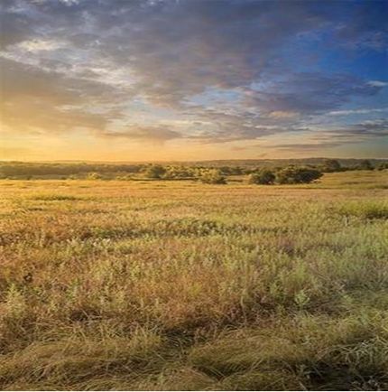 Property in Montague County, Texas