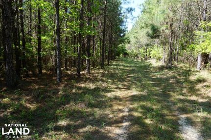 Property in Wilcox County, Alabama
