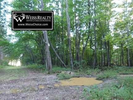 Property in Eau Claire County, Wisconsin