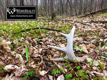 Property in Saint Croix County, Wisconsin