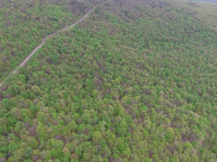 Property in Bedford County, Pennsylvania