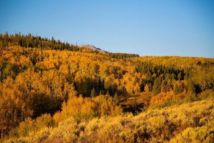 Property in Routt County, Colorado