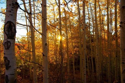 Property in Routt County, Colorado