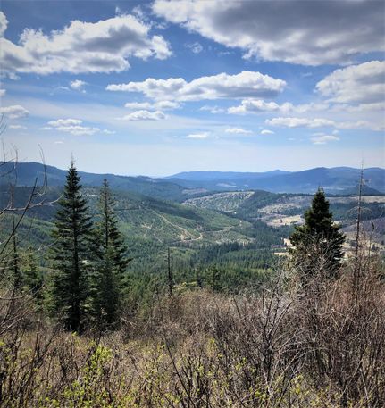 Property in Benewah County, Idaho