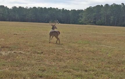 Property in Covington County, Alabama