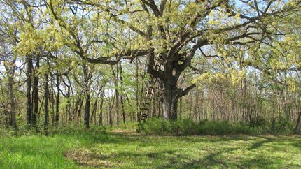 Property in Schuyler County, Missouri