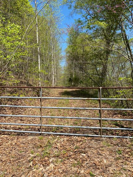 Property in Hancock County, Tennessee