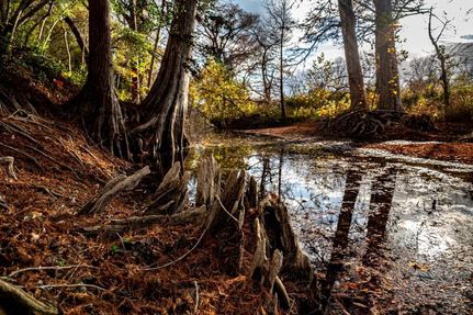 Property in Hays County, Texas